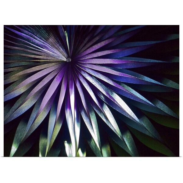 "Dark geometric patterned abstract in radial pattern against black." Poster Print
