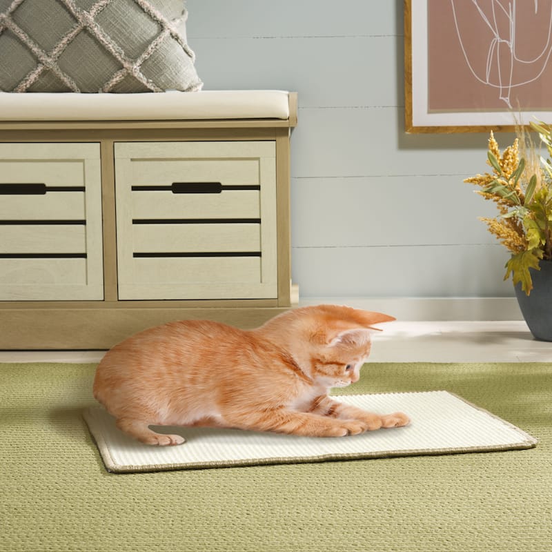 SAFAVIEH Home Sisal Small Boucle Weave Cat Scratch Mat