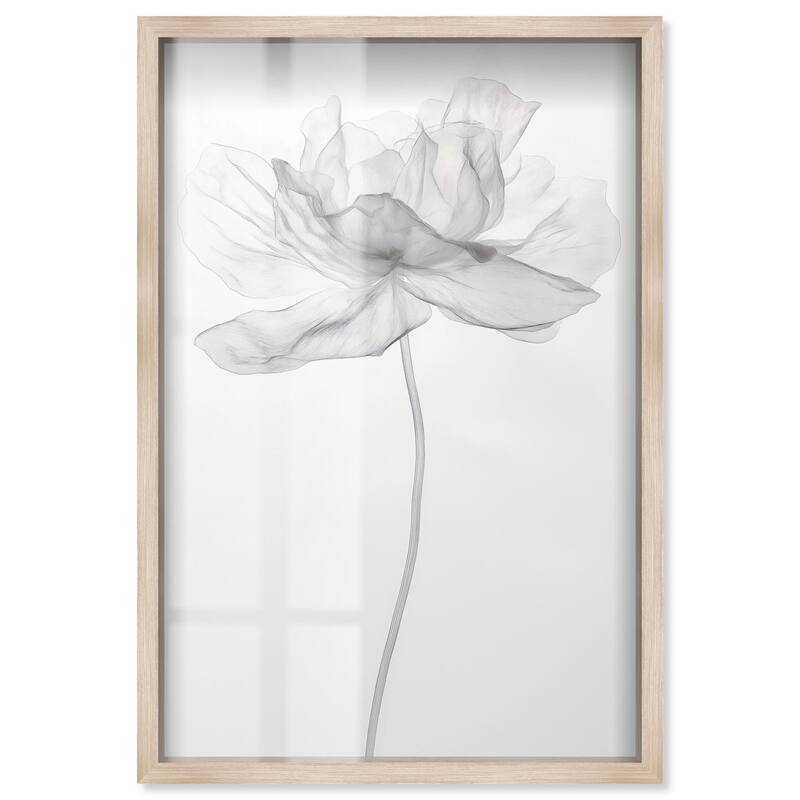 Fragile Beauty II Shadowbox by Art Remedy - Natural - 30" x 45"
