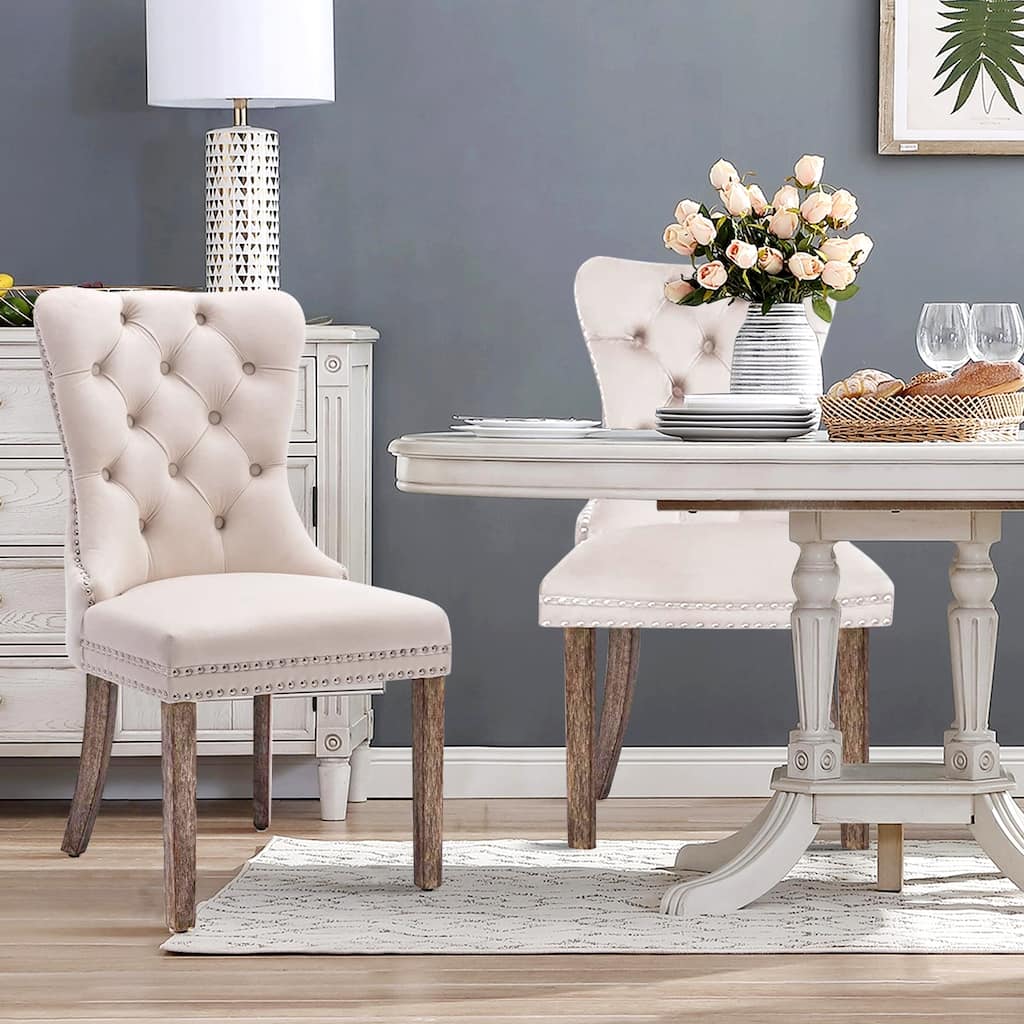 Set of 2 Modern Velvet Dining Chairs – Upholstered Side Chairs with Nailhead Trim and Solid Wood Legs for Kitchen & Dining Room