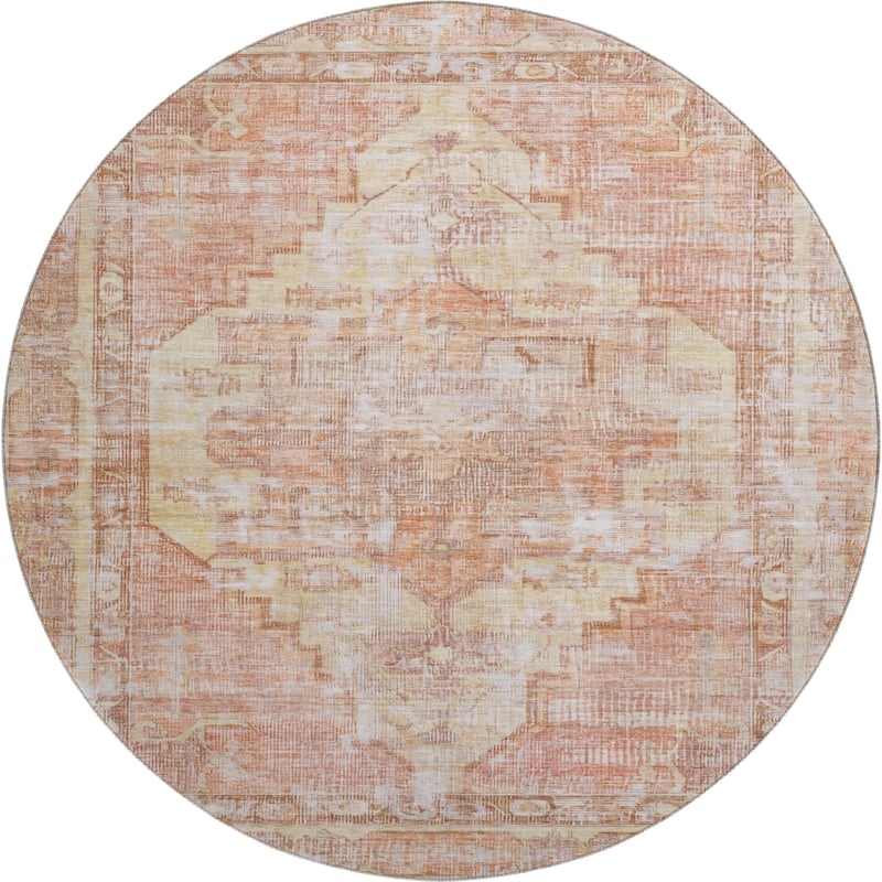 Premium Washable Super Soft Vintage Traditional Mayfield Rug