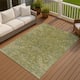 Option Fern