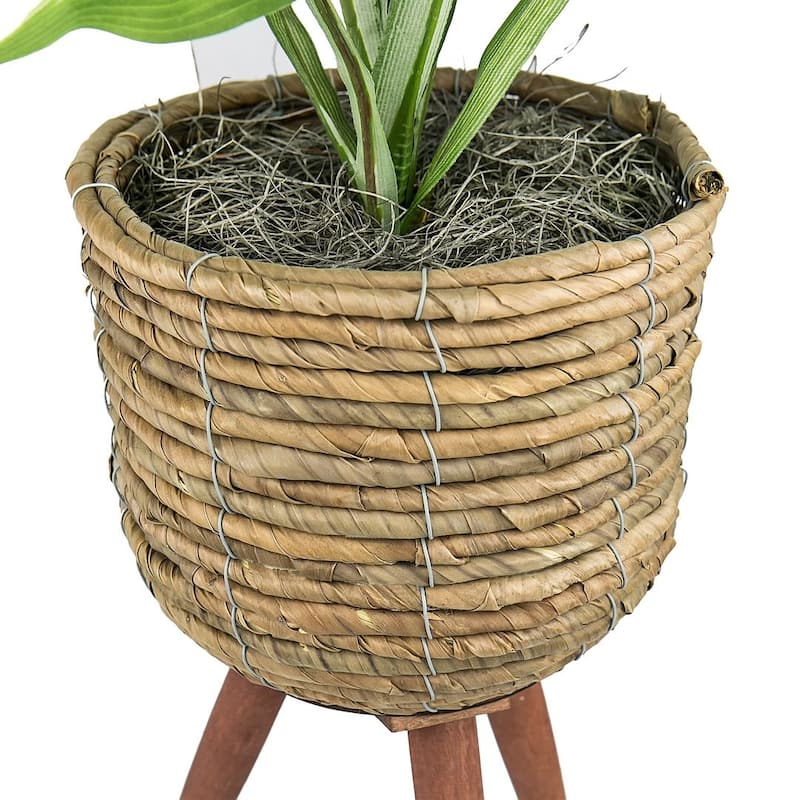 28-inch Artificial Hosta in Brown Basket Stand