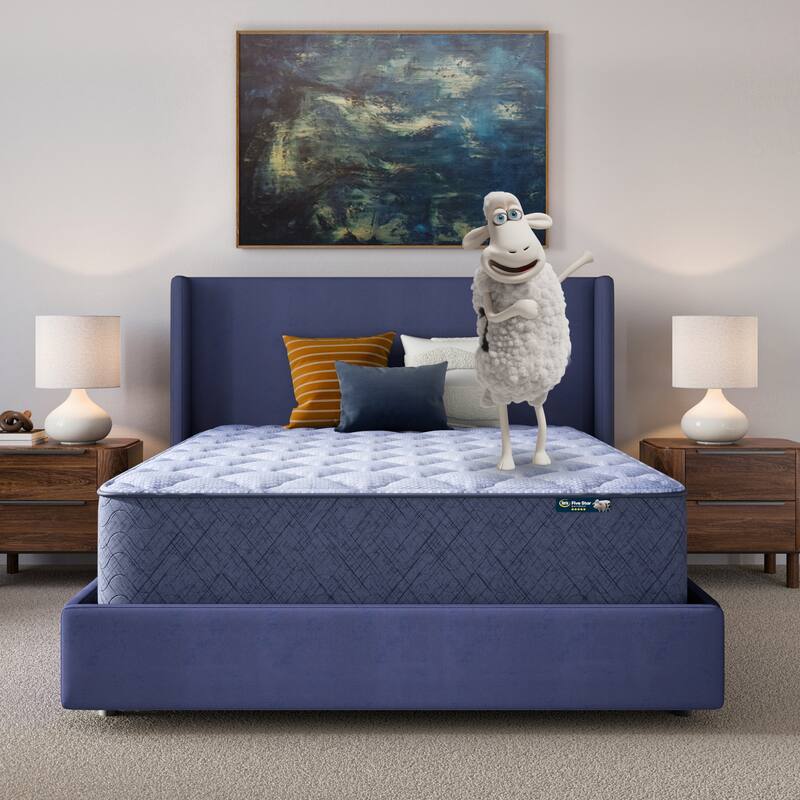 Serta Five Star Mattress Sleep to Go 14" Plush Mattress in a Box