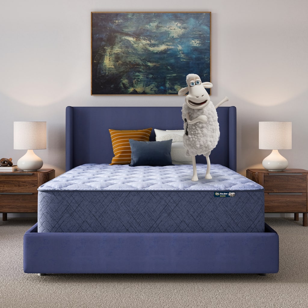 Serta Five Star Mattress Sleep to Go 14" Plush Mattress in a Box