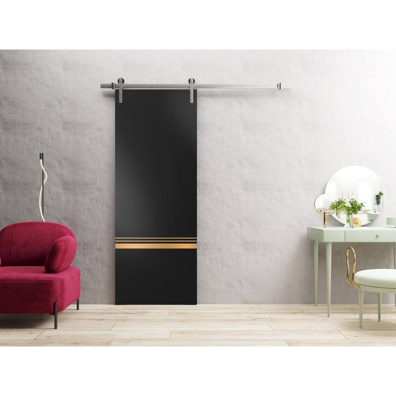 Sturdy Barn Door 18 x 80 Planum 2010 Matte Black with 6.6FT
