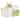 Elama 600 Piece Disposable Plastic Dinnerware Party Set for 100 Guests in White with Gold Trim