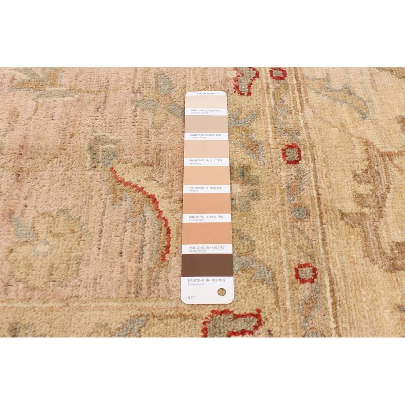 ECARPETGALLERY Hand-knotted Peshawar Oushak Beige Wool Rug - 9'1 x 12'5