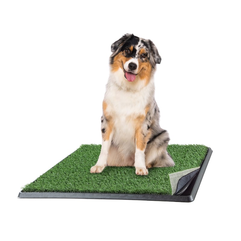 PETMAKER Reusable 4-Layer Artificial Grass Puppy Pee Pad with Tray - Medium