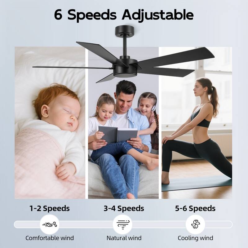 MLiAN 54 inch 5 Blades Indoor Ceiling Fan Remote Control 6-Speed DC - N/A