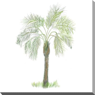 "Palm Tree on White II" Print on Canvas
