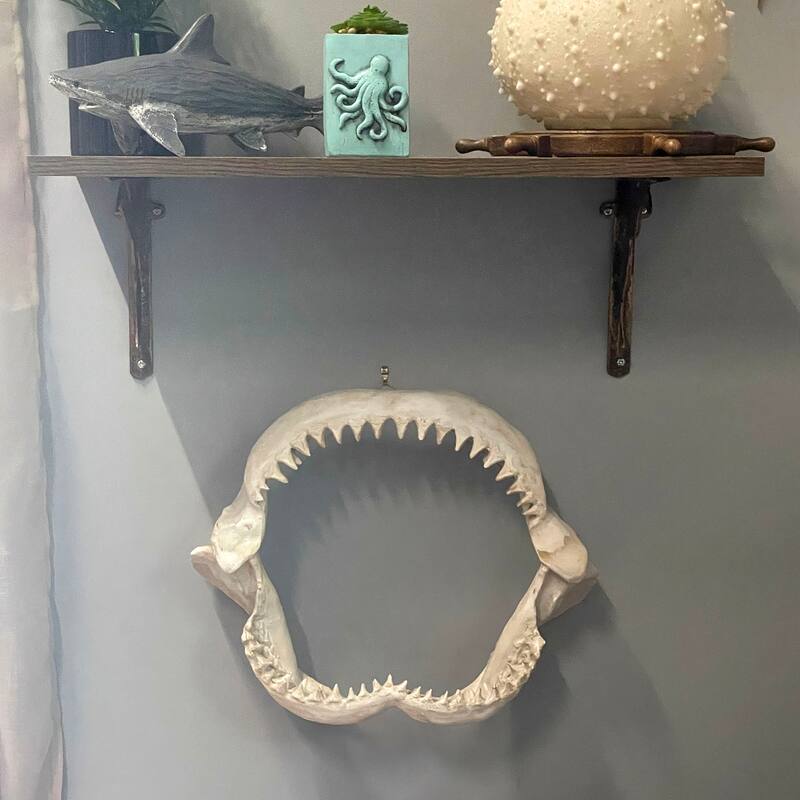 Replica Imitation Shark Jaw Wall Sculpture Resin Coastal Nautical Decor 16"