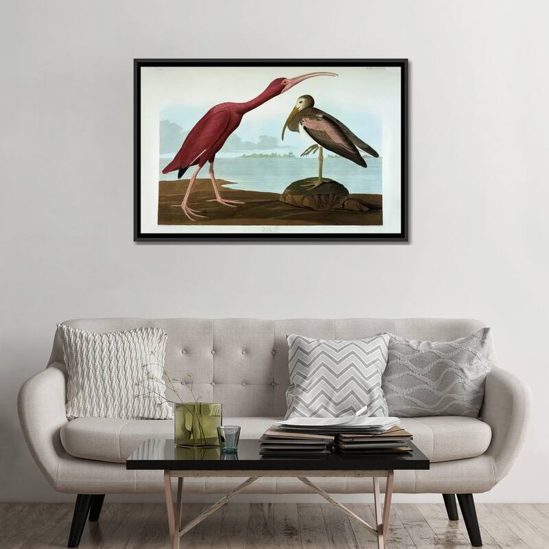 iCanvas "Scarlet Ibis " by John James Audubon Framed Canvas Print