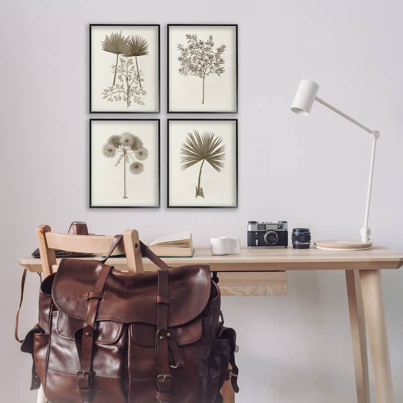 Stupell Various Vintage Palm Leaves Framed Giclee Art Design By Phillipa Katz (Set of 4)