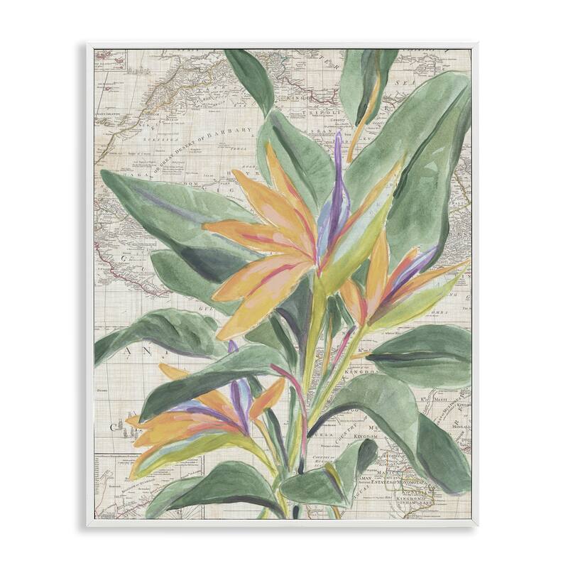 Stupell Tropical Flower over Map Framed Giclee Art Design By June Erica Vess - 11 x 14 - White
