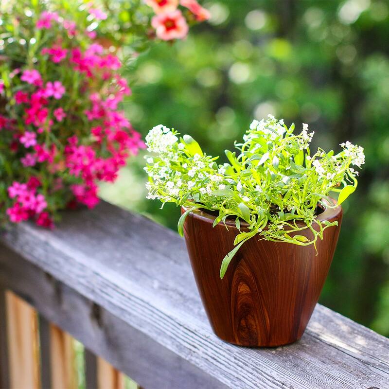 DTY Signature 2-Pack 10 in.Dark Wood Plastic Self-watering Planter Pot