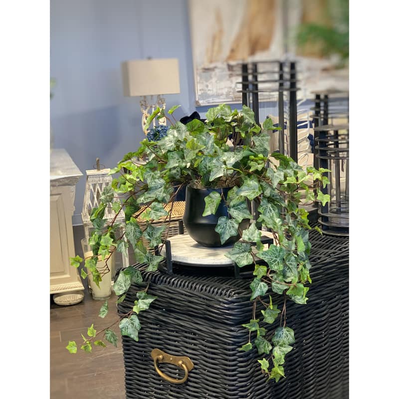 Trailing Ivy in a Ceramic Pot - Green