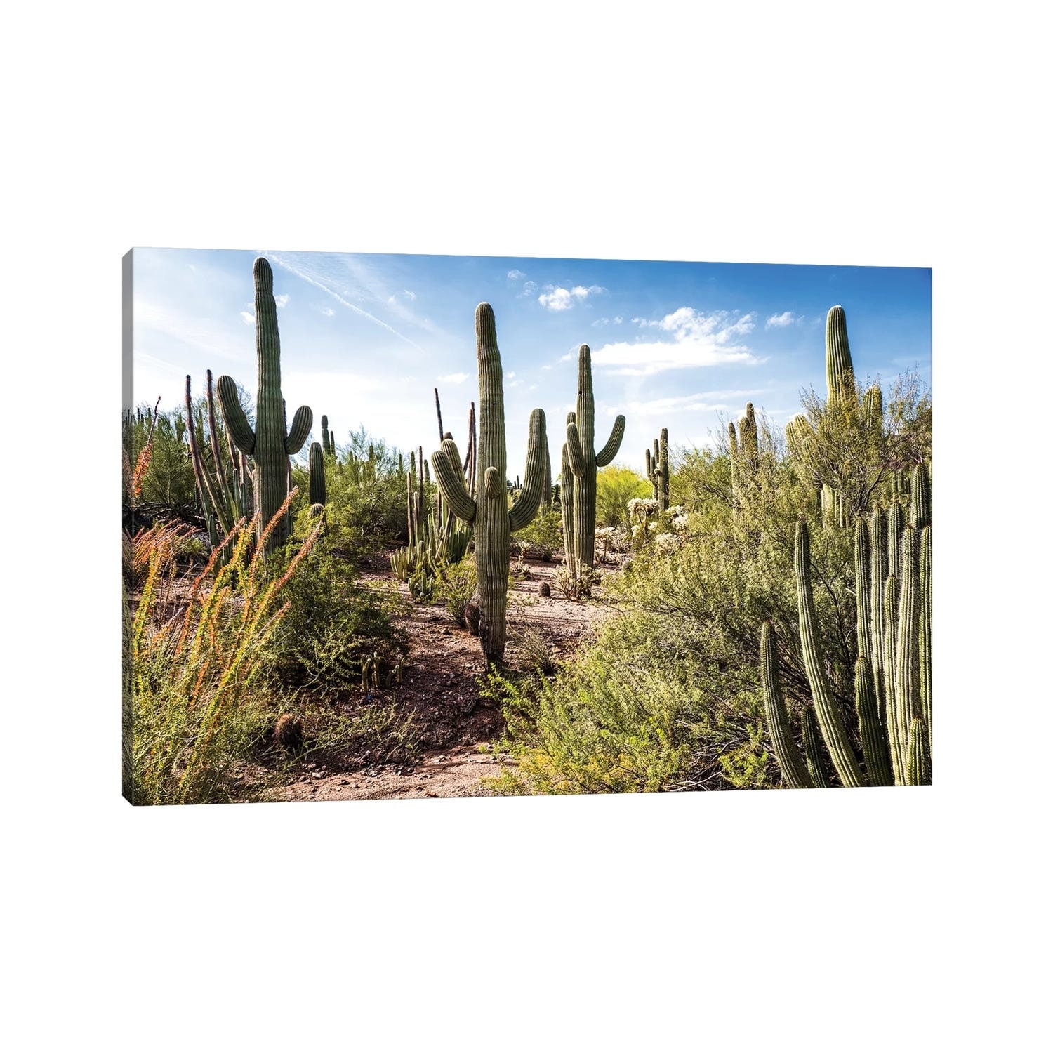 iCanvas "Into the Desert" by Bill Carson Photography Canvas Print