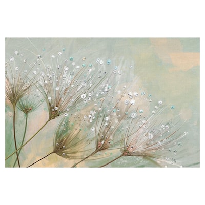 Dewdrop Colors by Studio Arts Canvas Art Print