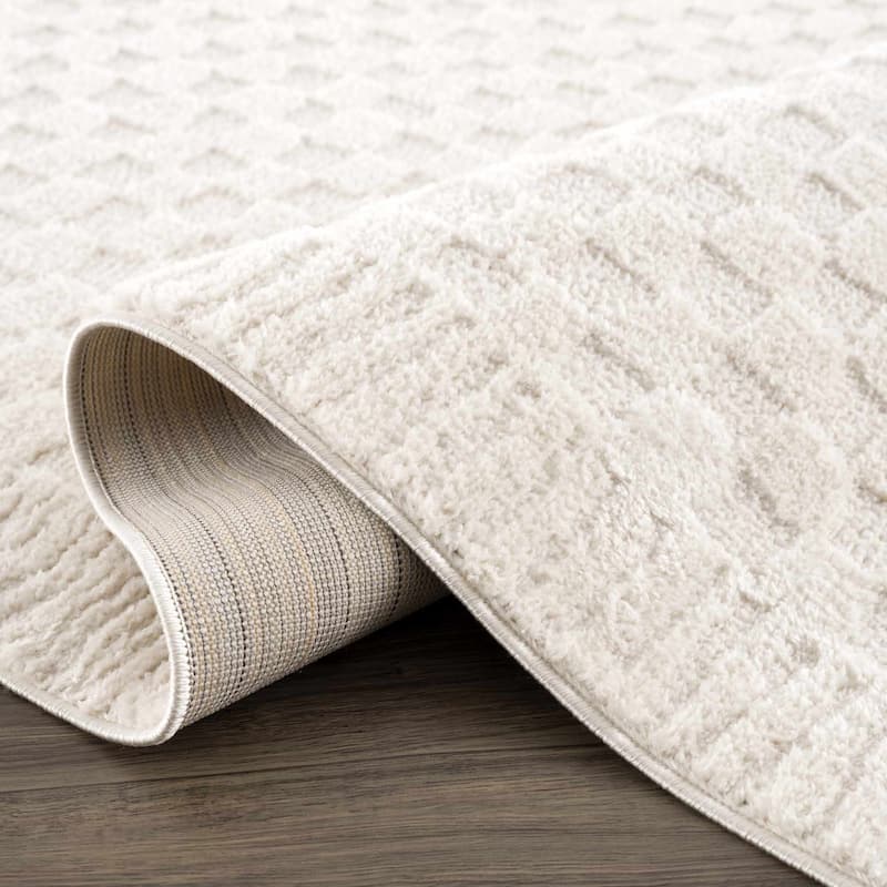 Hauteloom Leryn Hallway, Kitchen Runner Rug - High Pile - Off White - 2'8" x 7'3"