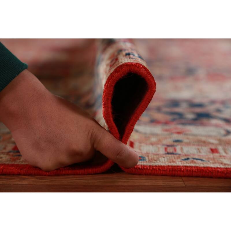 Vegetable Dye Ziegler Rug Handmade Traditional Wool Carpet - 9'0"x 12'2"