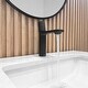 preview thumbnail 24 of 47, STYLISH Single-Handle Vessel Bathroom-Faucet B-104