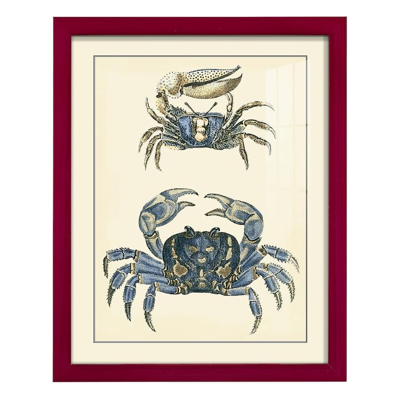 Antique Blue Crabs II -Framed Print w/glass-Cherry Red