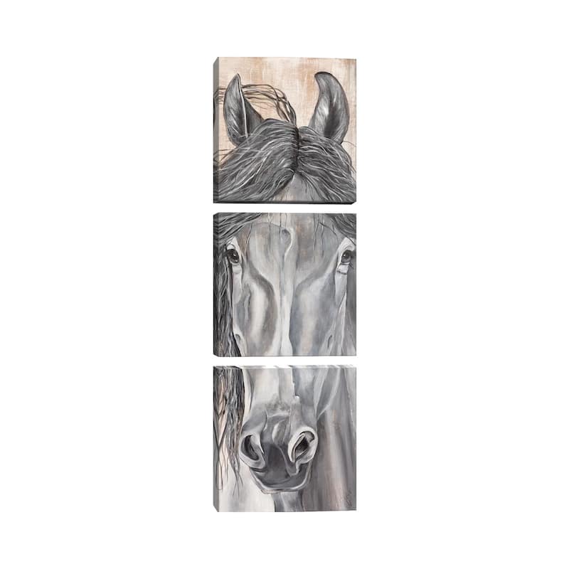 iCanvas "'Neigh'tural Beauty" by Diane Fifer 3-Piece Canvas Wall Art Set