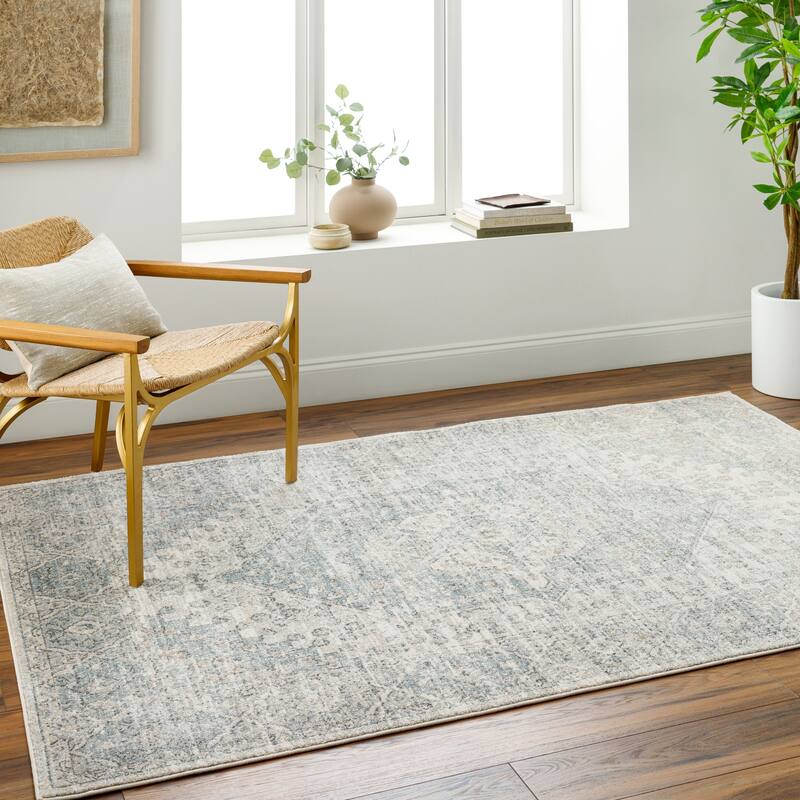 Kaleb Traditional Area Rug - Gray - 5' 3" x 7'