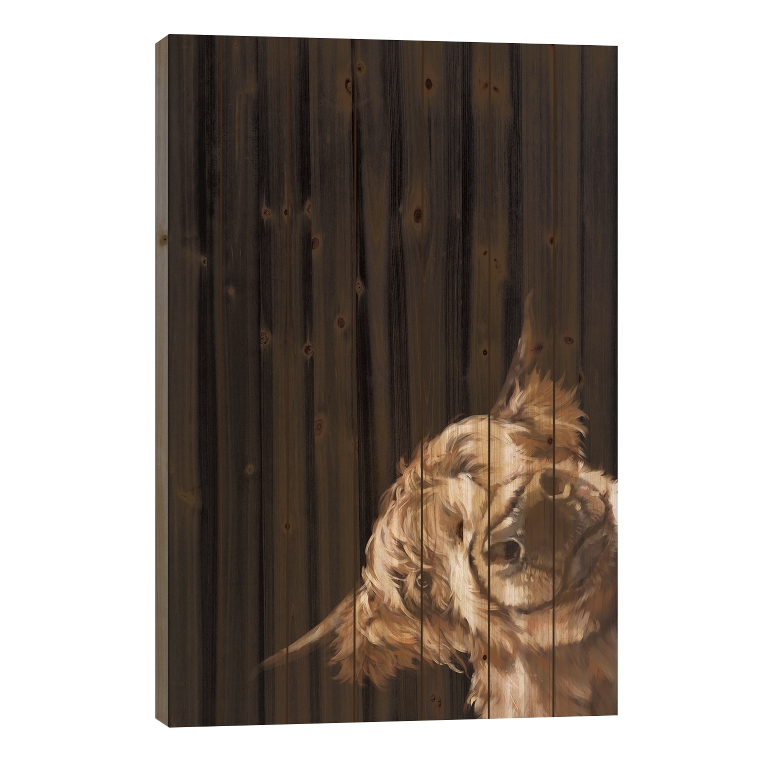 Sneaky Highland Cow In Black Print On Wood by Big Nose Work - Multi-Color
