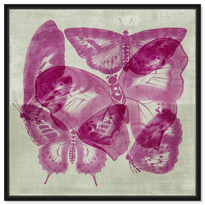 Fluttering Wings Canvas by Art Remedy - Black - 20" x 20"