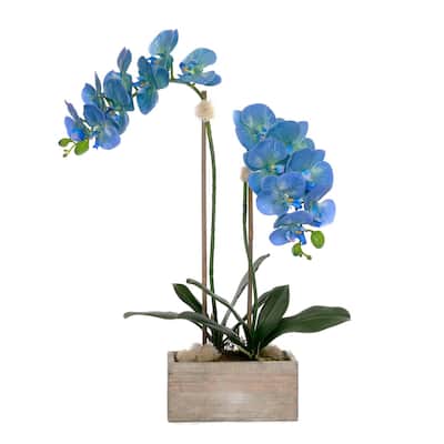 Blue Orchid Flower Arrangement in White Wash Wood Pot