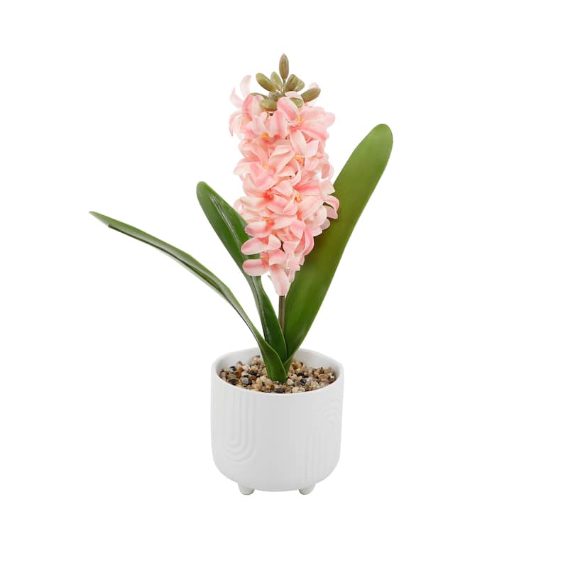 14.75"H Hyacinth in 4.75" Footed 4.75*4.75*4.25