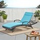 preview thumbnail 22 of 85, Salem Outdoor Chaise Lounge Cushion by Christopher Knight Home