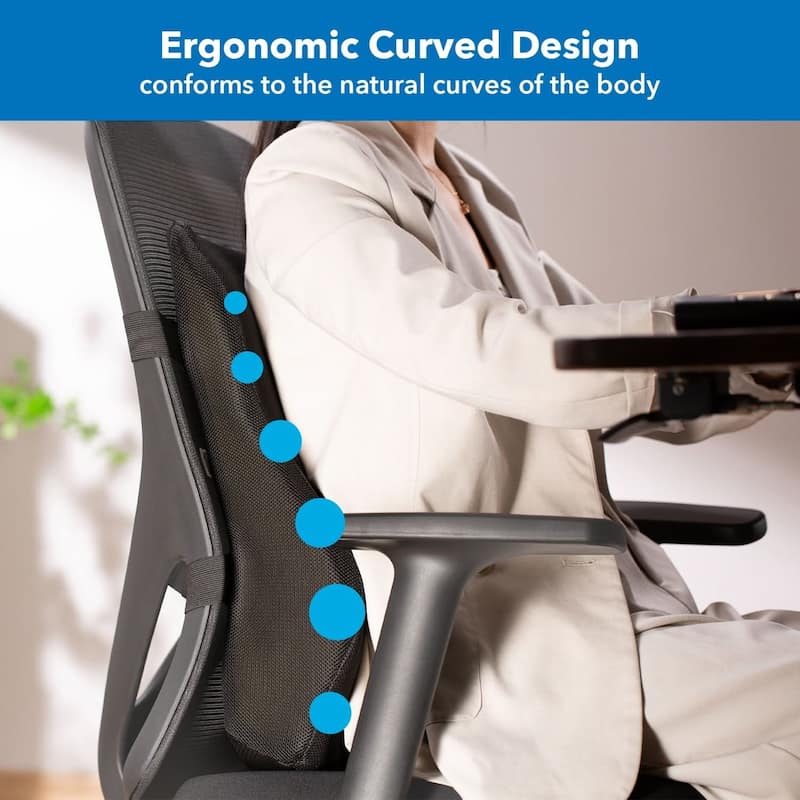 Mount-It! Ergo Collection Memory Foam Full-Back Cushion, Black (MI-1106)