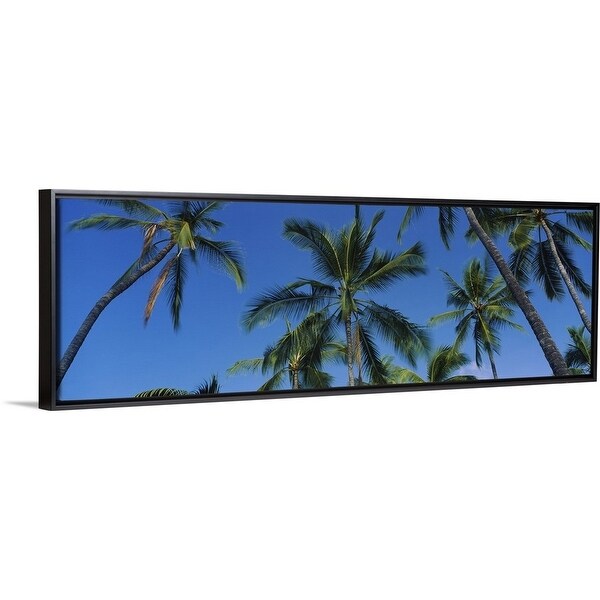 Shop Low Angle View Of Palm Trees Kona Coast Big Island