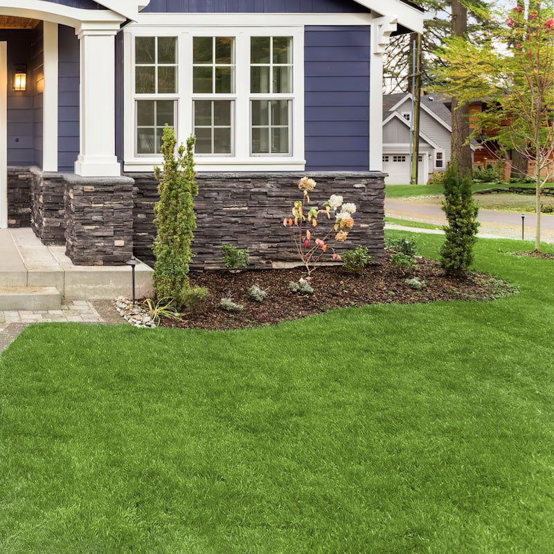 Realistic Grass Alternative: Durable, Pet-Safe Turf Grass Grass Rug