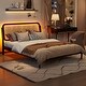 preview thumbnail 12 of 18, Queen Size Platform Bed with LED Headboard and Rattan Accent, Natural Wood