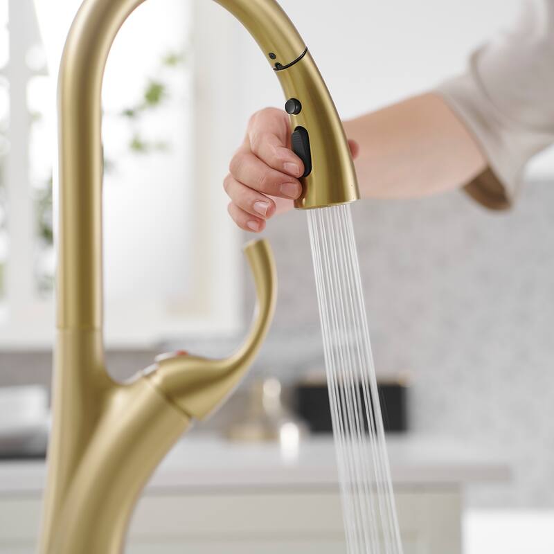 WIZ Single Handle Pull Down Sprayer Kitchen Faucet In Matte Black