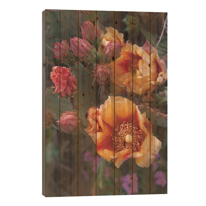 Opuntia In Bloom, North America Print On Wood by Tim Fitzharris - Multi-Color - 26x18x1.5
