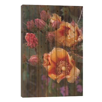 Opuntia In Bloom, North America Print On Wood by Tim Fitzharris - Multi-Color