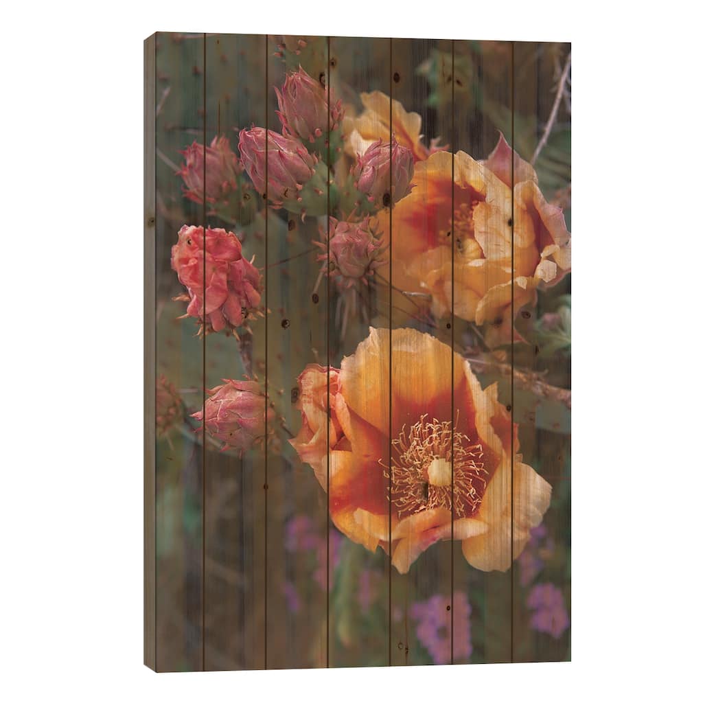 Opuntia In Bloom, North America Print On Wood by Tim Fitzharris - Multi-Color