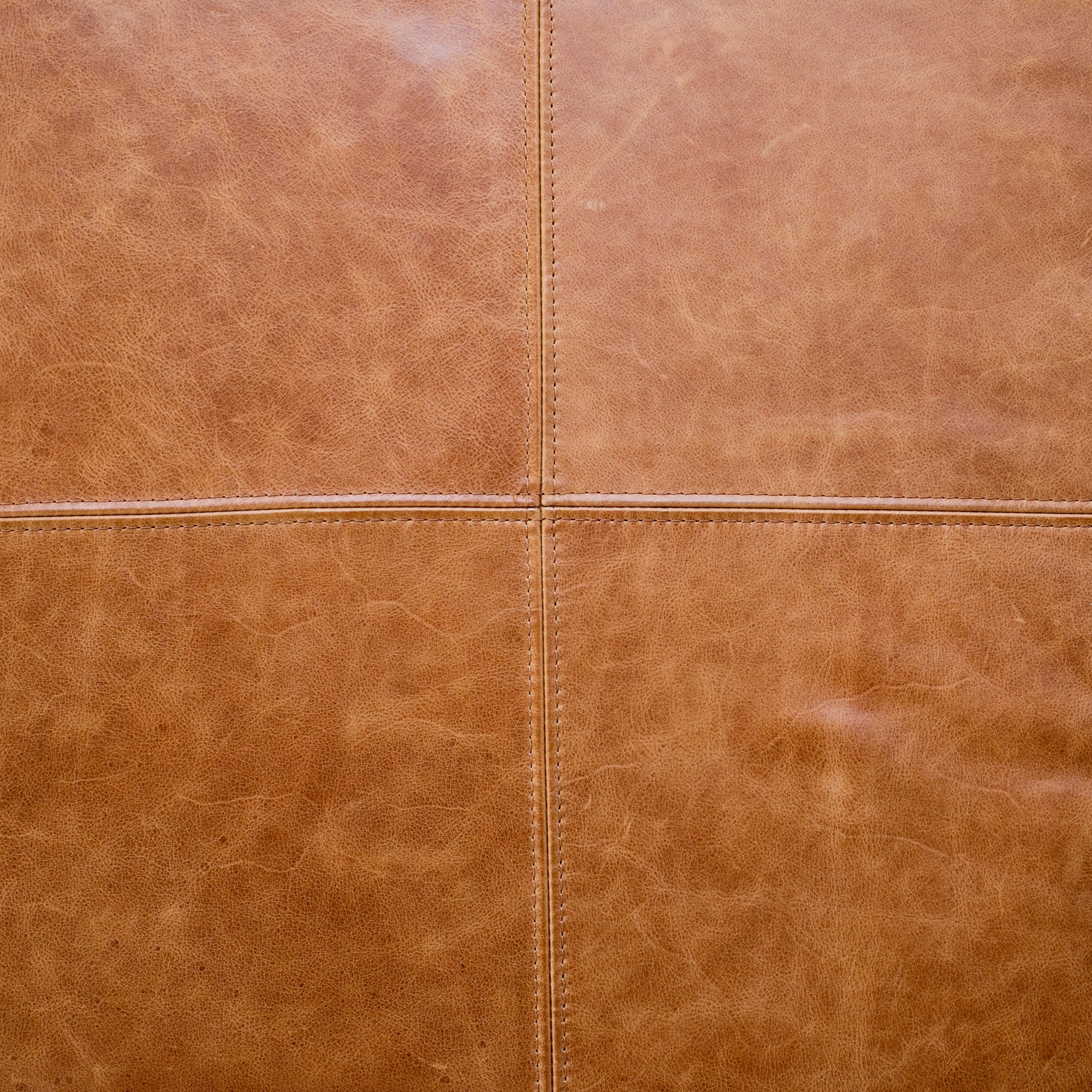 Poly and Bark Sequoia Ottoman - Genuine Italian Leather