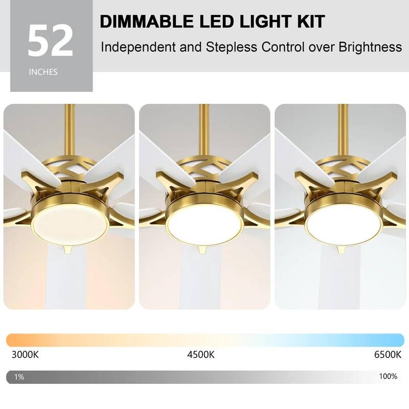 MLiAN 5-Blades DC Motor Indoor Smart Ceiling Fan with Light and Remote