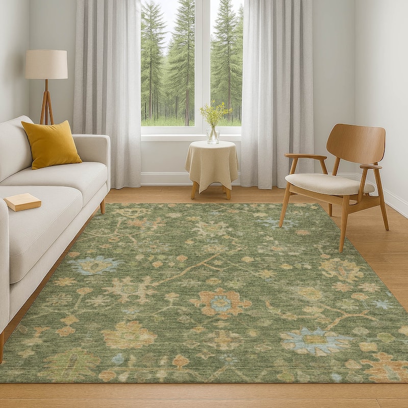 Premium Washable Super Soft Farmhouse Traditional Mayfield Rug