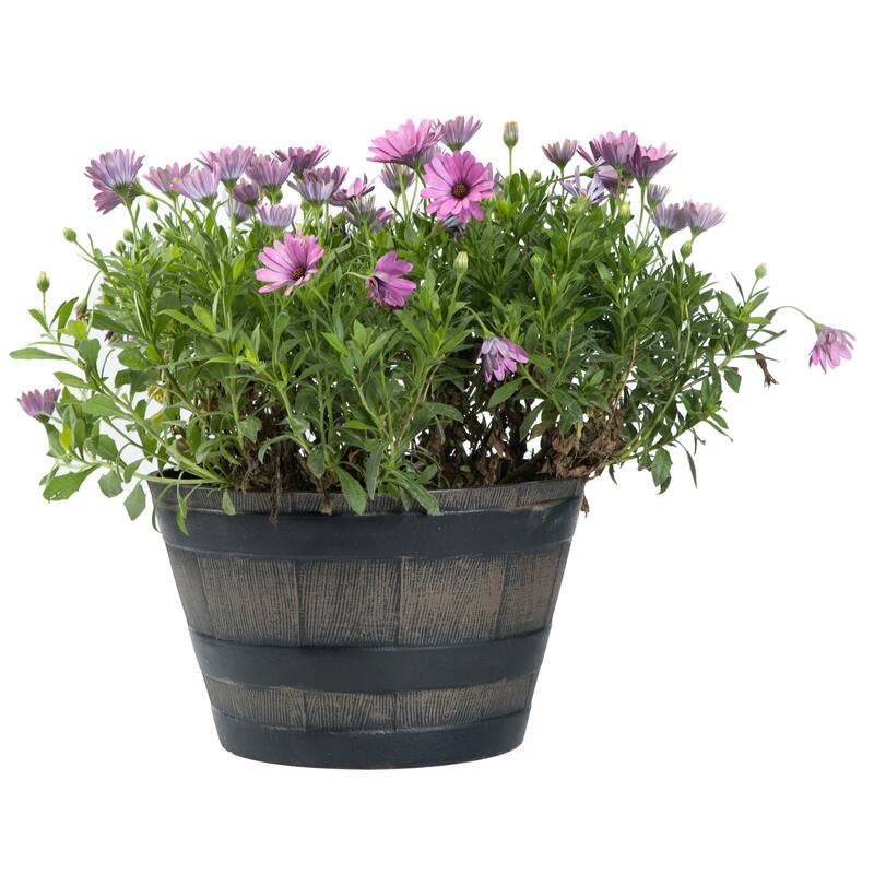 Gardenised 4-Piece Round Half Barrel Flower Pots Rustic Farmhouse Style Faux Wood Planter Containers for Indoor & Outdoor Use