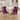 Set of 2 Tufted Velvet Upholstered Dining Chair