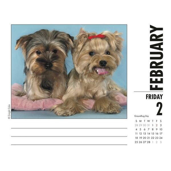 Shop Just Yorkies Desk Calendar Yorkshire Terriers By Willow