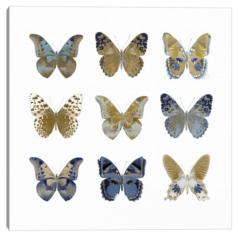 Butterfly Study I by Julia Bosco Canvas Art Print