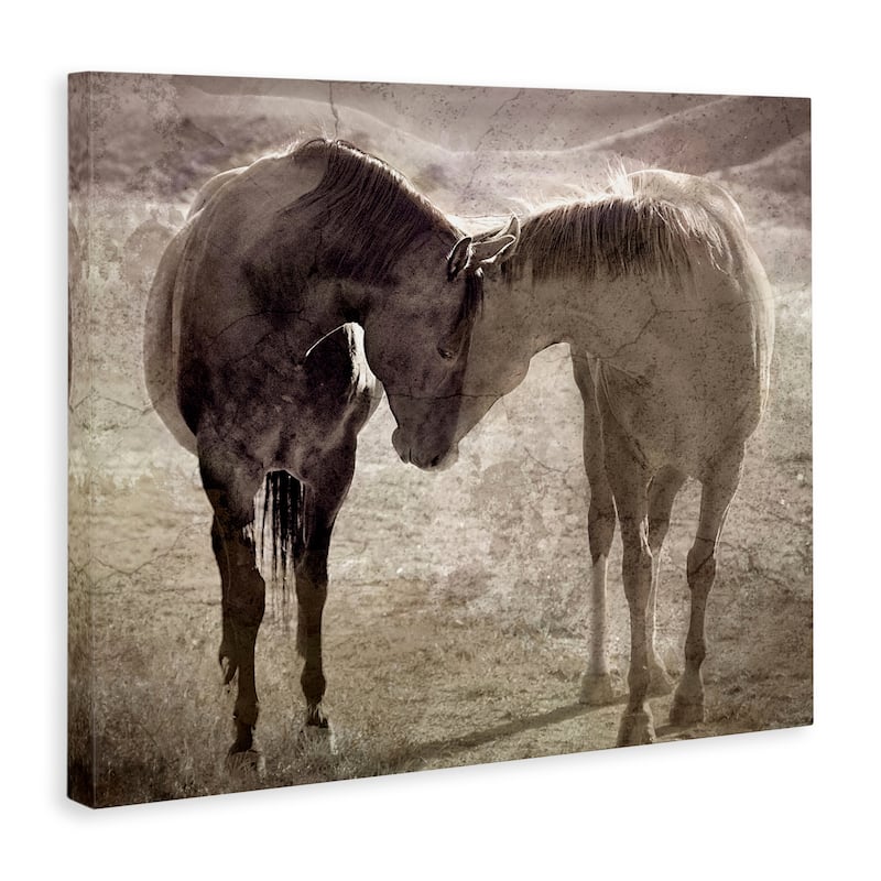 Stupell Muted Horse Pair Hugging Canvas Wall Art Design By Steve Toole